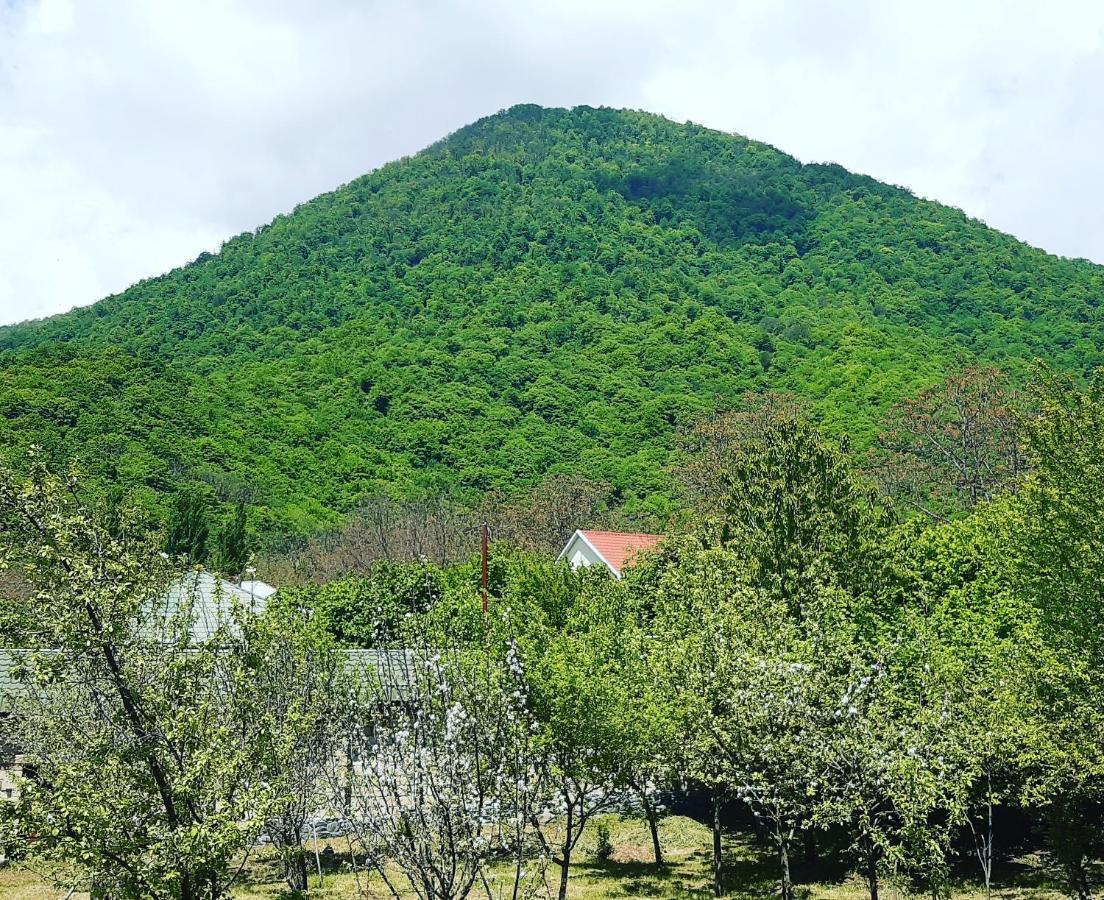 Gabala Sweet Home 외부 사진